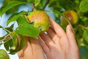 <a href='http://www.shutterstock.com/pic.mhtml?id=108687233'>Image via Shutterstock</a> <a href='http://www.shutterstock.com/pic.mhtml?id=108687233'>Image via Shutterstock</a>