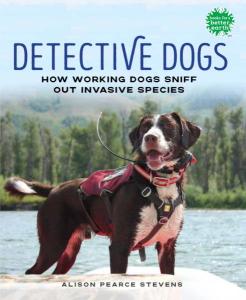Cover of the book Detective Dogs: How Working Dogs Sniff Out Invasive Species by Alison Pearce Stevens, showing a color photo of a brown and white working mixed-breed dog on the bank of a river, with forested land visible on the opposite side. The title is in navy ink, while the subtitle and the author’s name are in black superimposed on the photo.