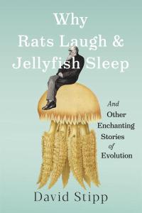 Cover of the book Why Rats Laugh & Jellyfish Sleep and Other Enchanting Stories of Evolution by David Stipp, showing Darwin sitting atop a gold-colored jellyfish, with the book’s title in white print, and the subtitle and author’s name in print, all superimposed over an aqua background.