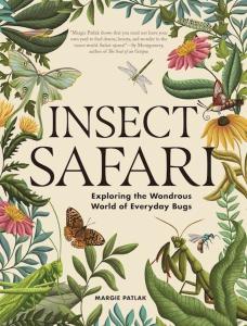Cover of the book _Insect Safari: Exploring the Wondrous World of Everyday Bugs by Margie Patlak showing an ivory background framed by an array of green leaves and pink and yellow flowers, with a dragon fly, a katydid, a monarch butterfly, a moth, a cricket, a bee, and other insects on the plants or flying around. The title and author’s name are in an earth-brown colored print. 