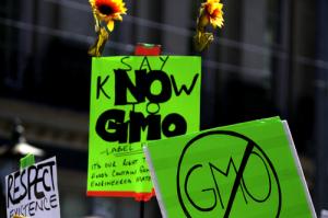 Anti-GMO protest image via Shutterstock