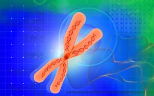 Chromosome image via Shutterstock