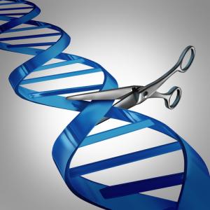 Scissors cutting DNA image via Shutterstock