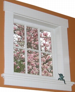 Magnolia Blossoms