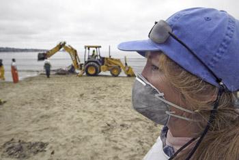 Peggy Stap, a volunteer with the Monterey Bay Whale Watch group, watches as a tractor from Monterey Public Works disposes of pieces of the blue whale that washed up Friday on Del Monte Beach in Monterey. Members of Moss Landing Marine Laboratories were on the scene Monday to remove a variety of pieces to study in their labs.