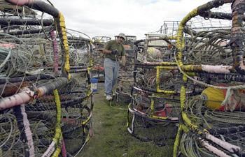 Randy Emmons of Marina, a crew member on the Phantom, prepares crab pots for the commercial crab season that starts Monday.